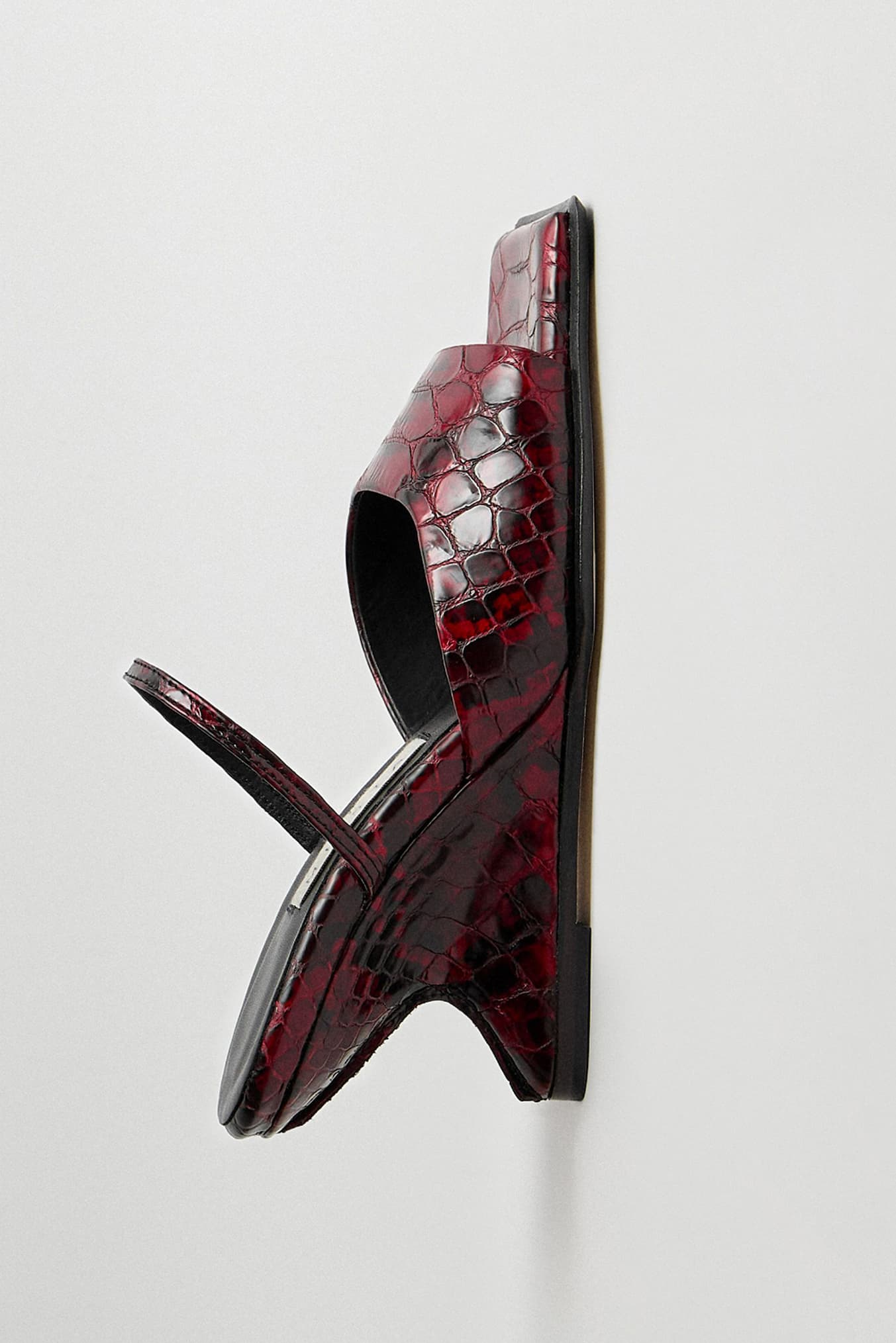 Egle red snake