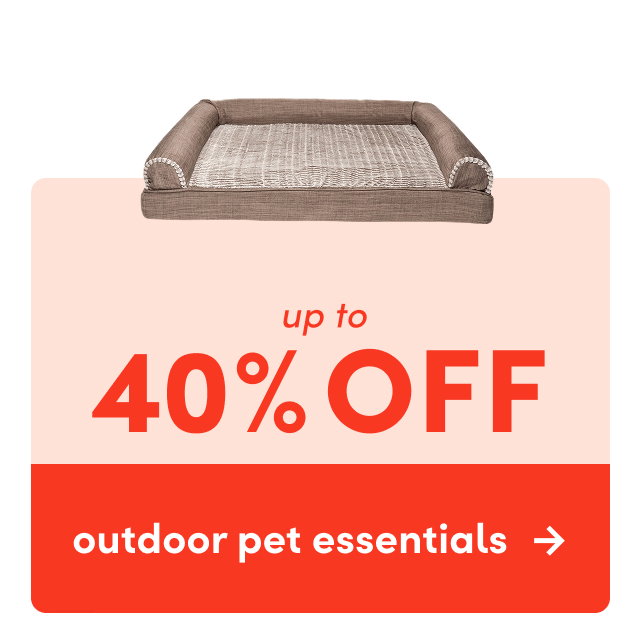 outdoor pet essentials clearance