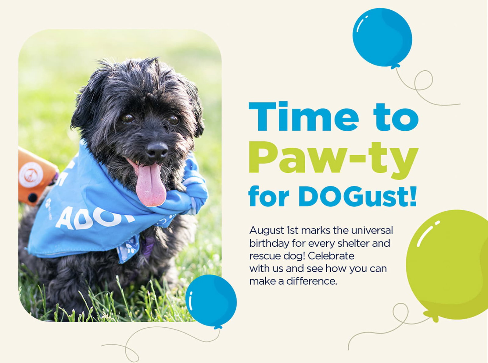 Celebrate DOGust on August 1st with BISSELL Pet Foundation