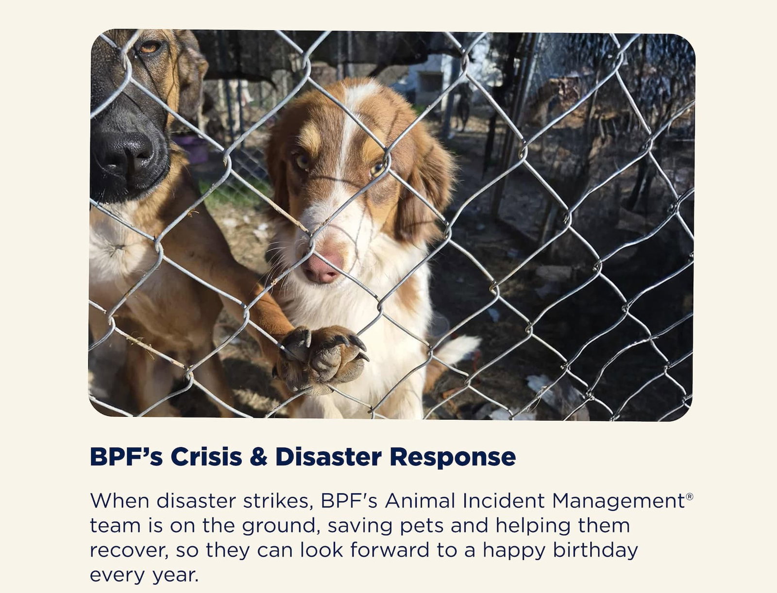 BPF's Crisis & Disaster Response