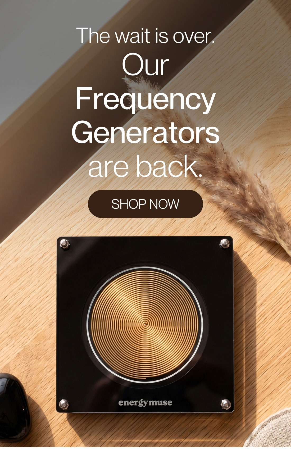 The wait is over. Our Frequency Generators are back.