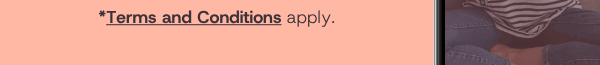 terms & conditions