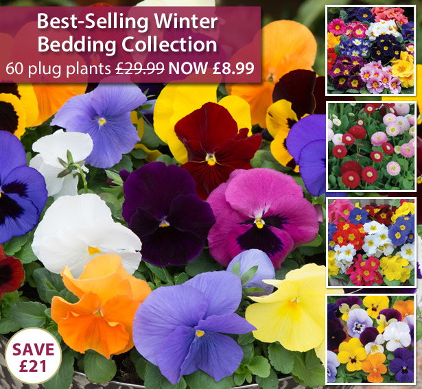 Winter Best Selling Bedding Collection