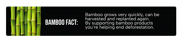 Bamboo