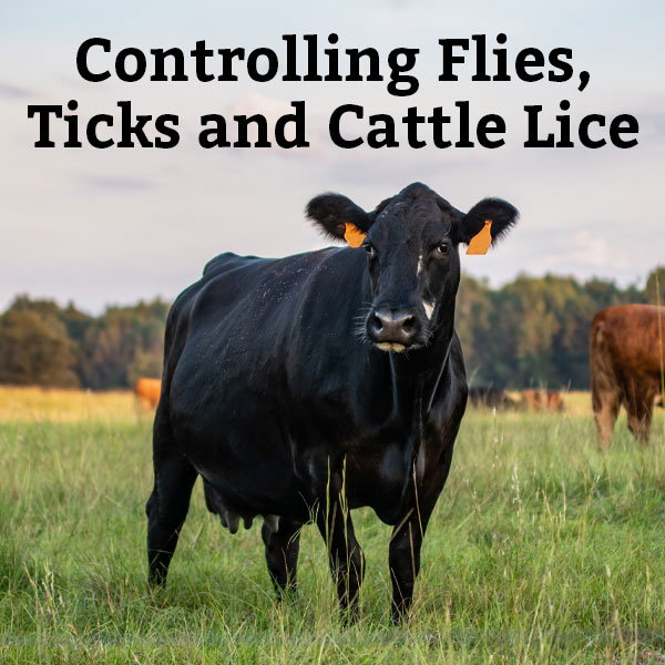 Controlling Flies, Ticks and Cattle Lice - Learn More