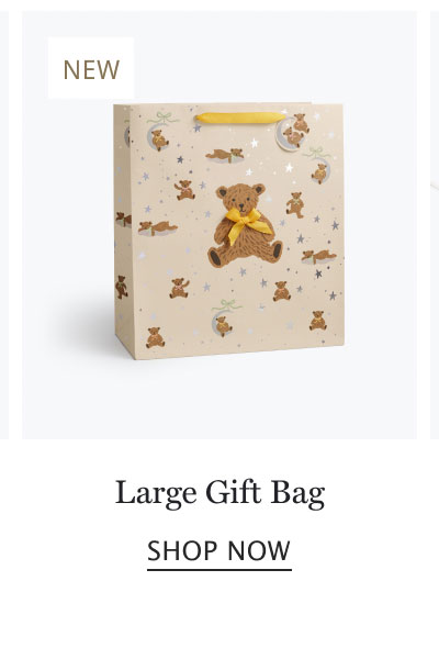 Large Gift Bag