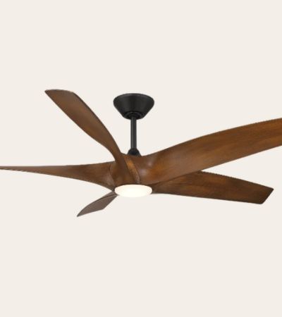 Modern Forms ceiling fan with light