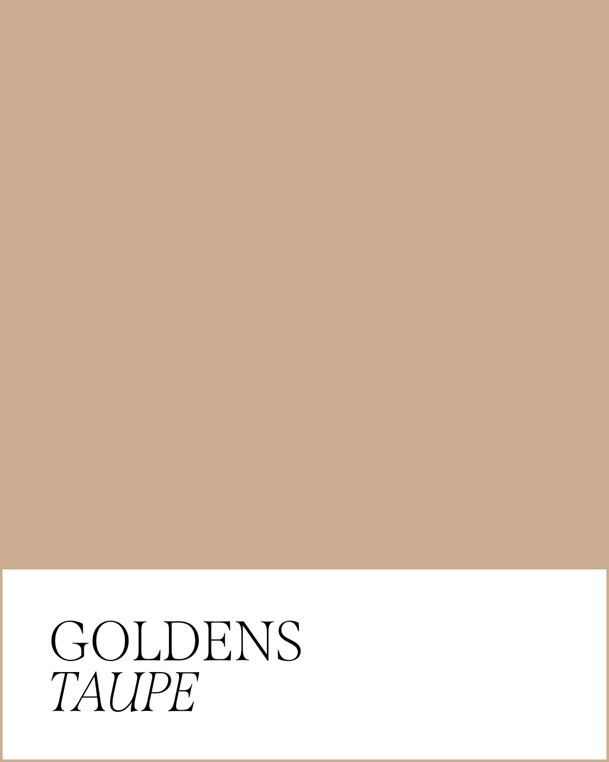 Goldens - Taupe
