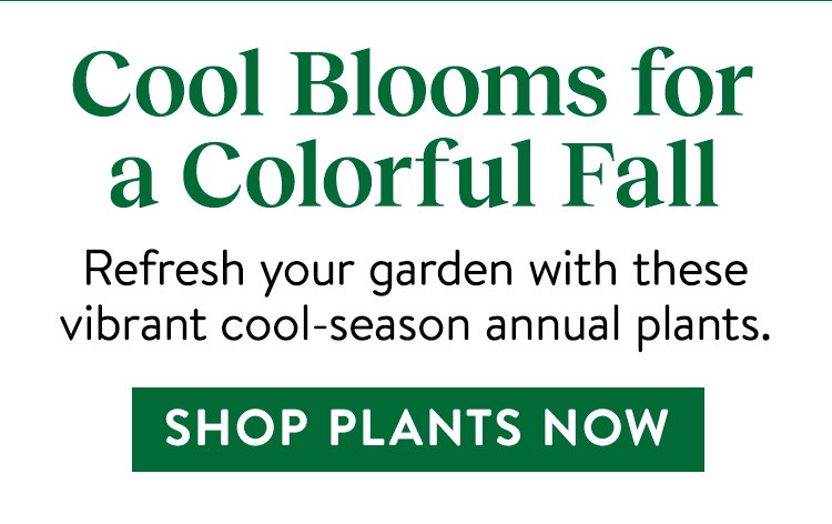 Fall Planted Annuals