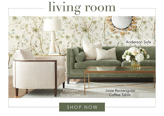 Shop Living Room >