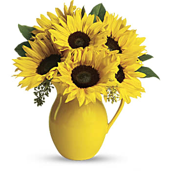 Teleflora's Sunny Day Pitcher of Sunflowers