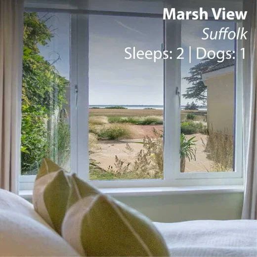 Marsh View