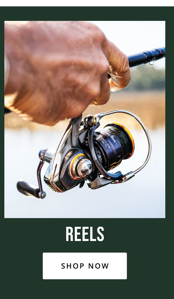 National Fishing Month