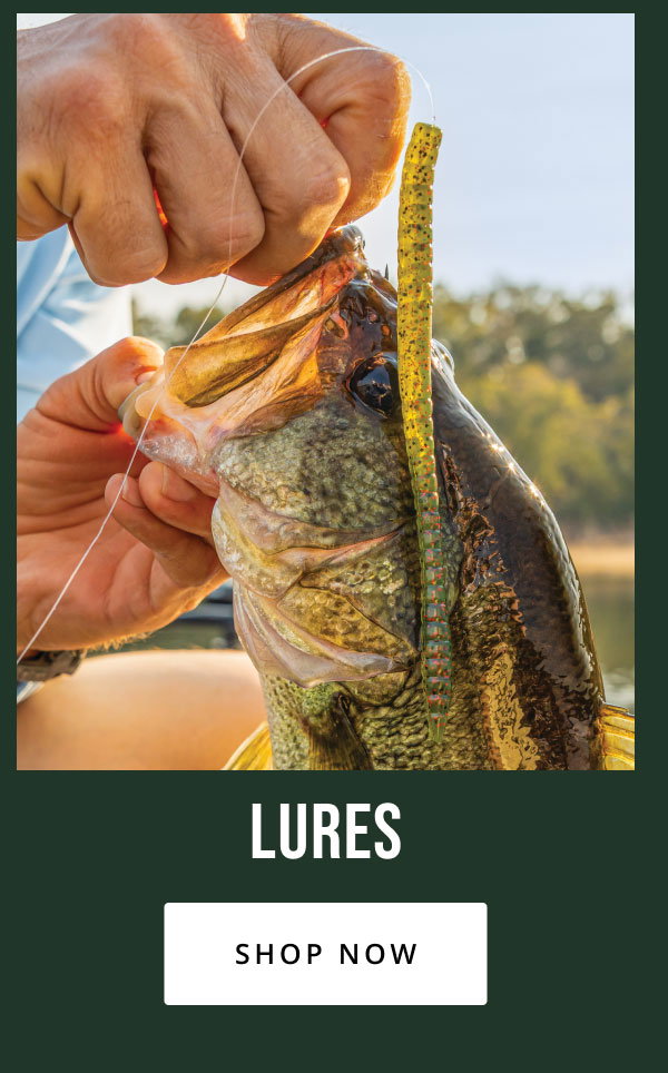 National Fishing Month