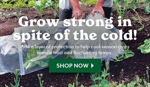 Grow Strong in spite of the cold - SEASON EXTENDERS