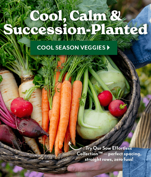 Cool, Calm, & Succession-Planted