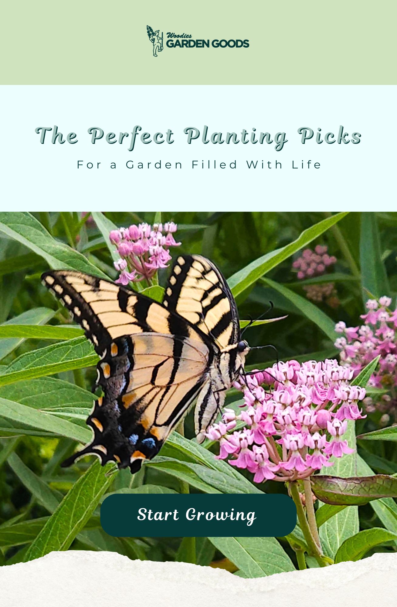PERFECT PLANTING PICKS FOR A GARDEN FILLED WITH LIFE 