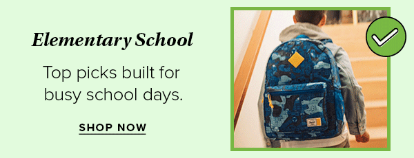 Elementary School