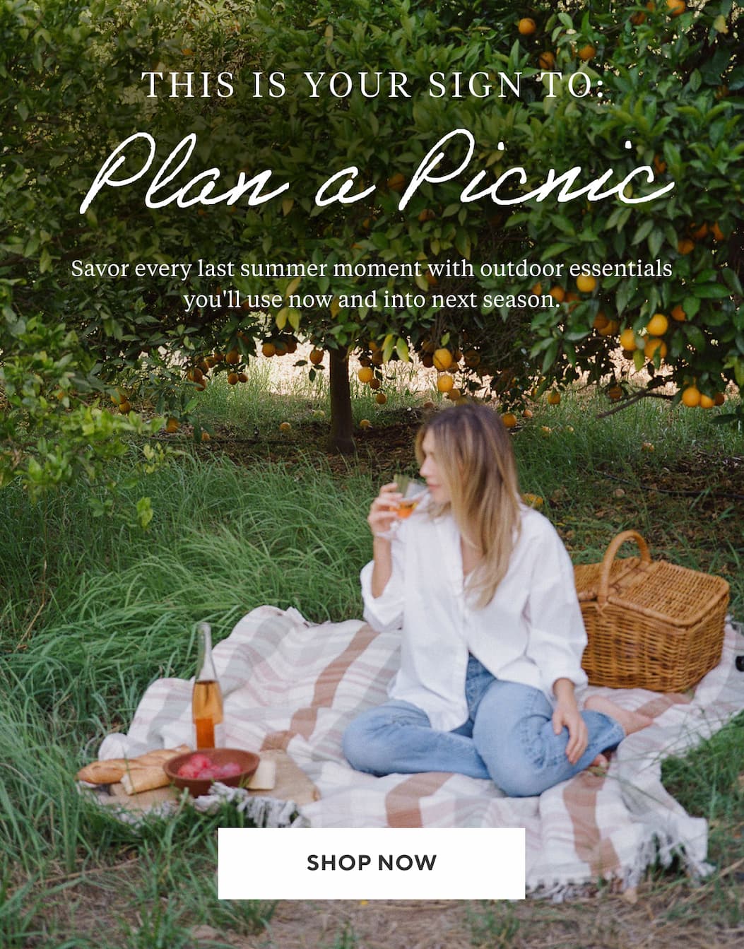 THIS IS YOUR SIGN TO PLAN A PICNIC Savor every last summer moment with outdoor essentials you'll use now and into next season. Shop Now >