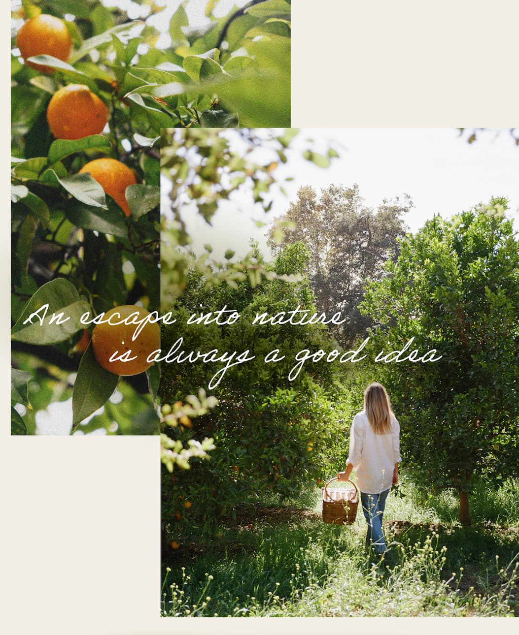An escape into nature is always a good idea