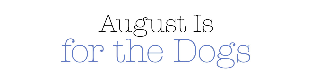 August Is for the Dogs