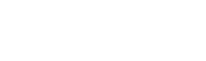 Wildfire Sports & Trek