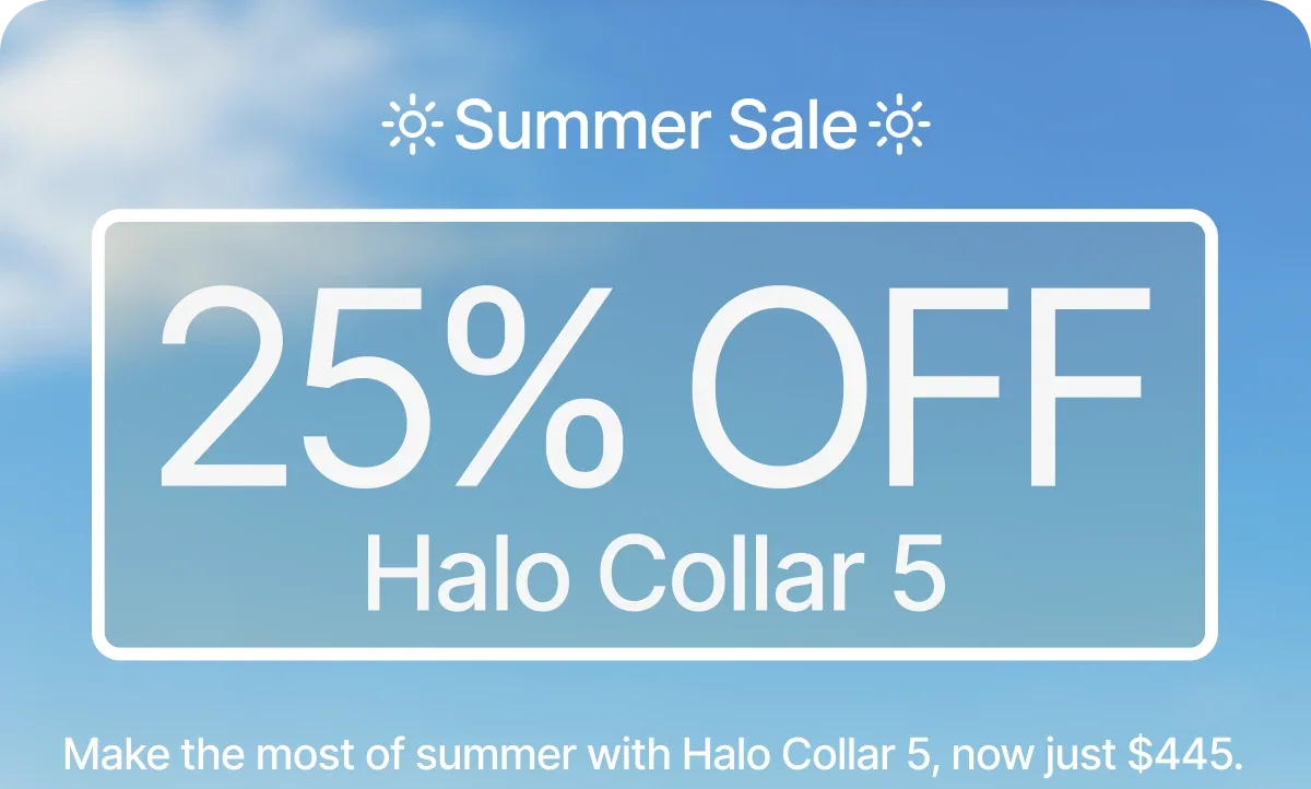 The best summer days are still ahead. Halo Collar 5 is 25% off during our Summer Sale. Give your dog the freedom to soak up every moment.