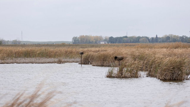 Now is the Time to Speak Up for America’s Wetlands 