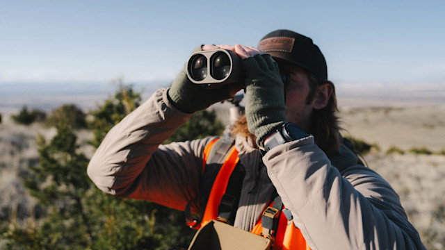 The Pros and Cons of Stabilizing Binos