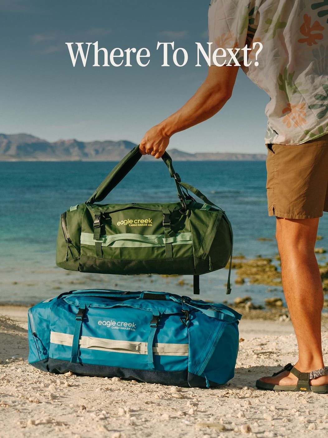 Where To Next?