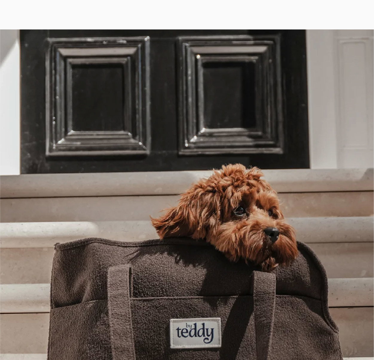 THE BOUCLÉ CARRIER CHOCOLATE