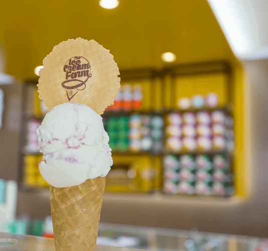 Portal Ice Cream Farm Experience