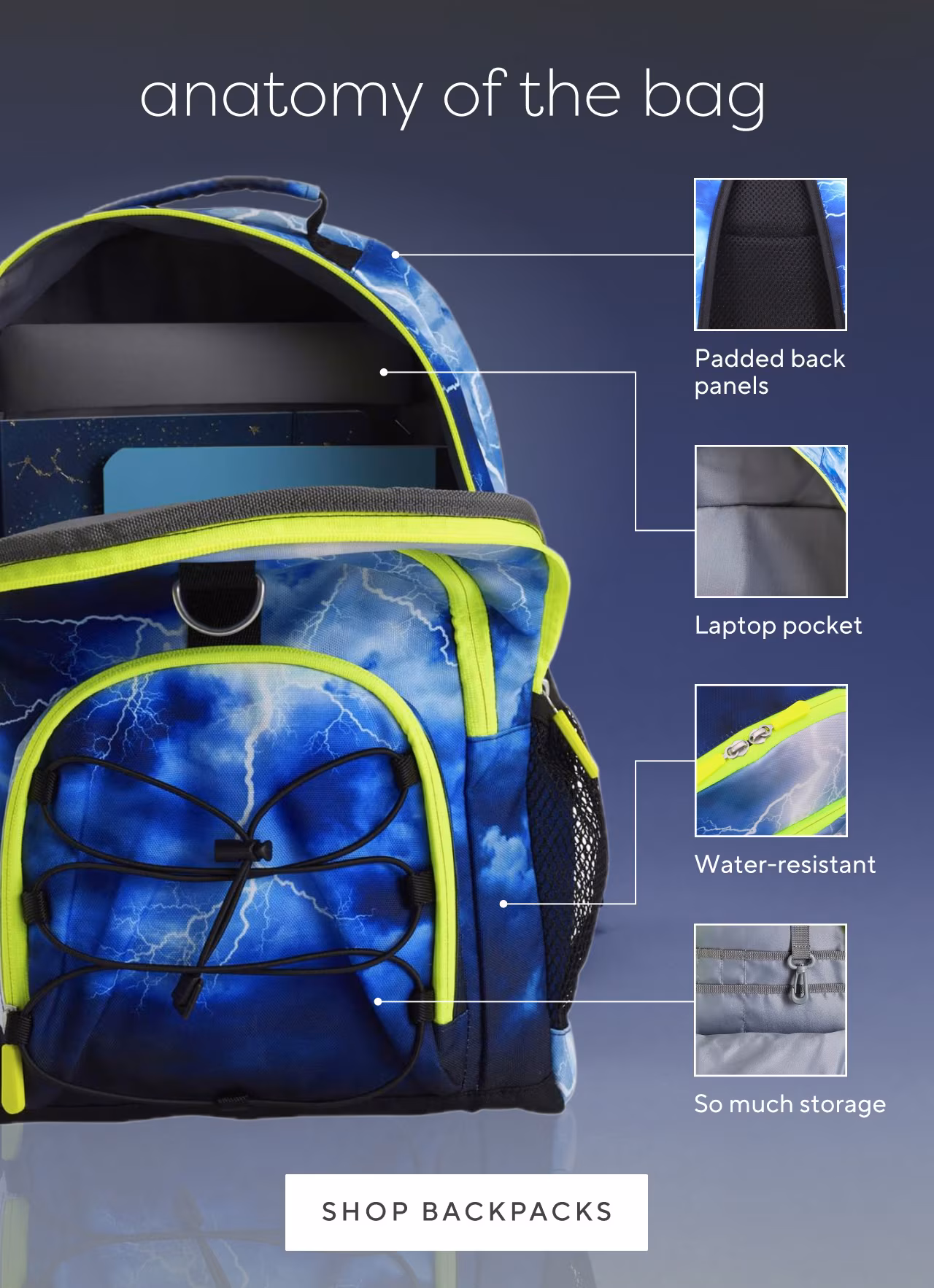 Anatomy of the bag