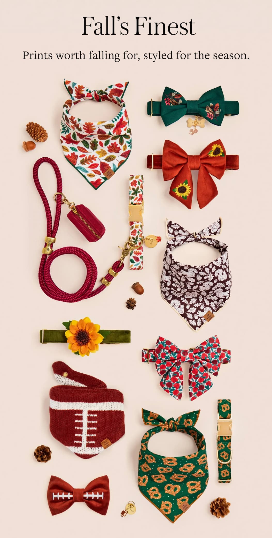 Shop Fall