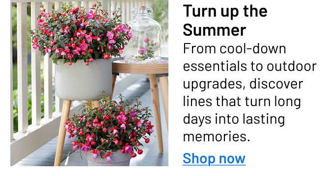 Turn up the Summer