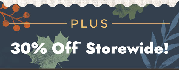 Storeide Savings