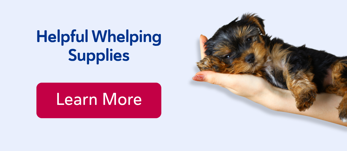 Helpful Whelping Supplies