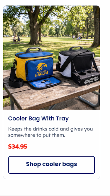 Two AFL Cooler Bags with Trays sitting at a picnic table in a park