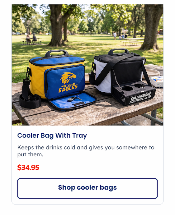 Two AFL Cooler Bags with Trays sitting at a picnic table in a park