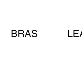 BRAS