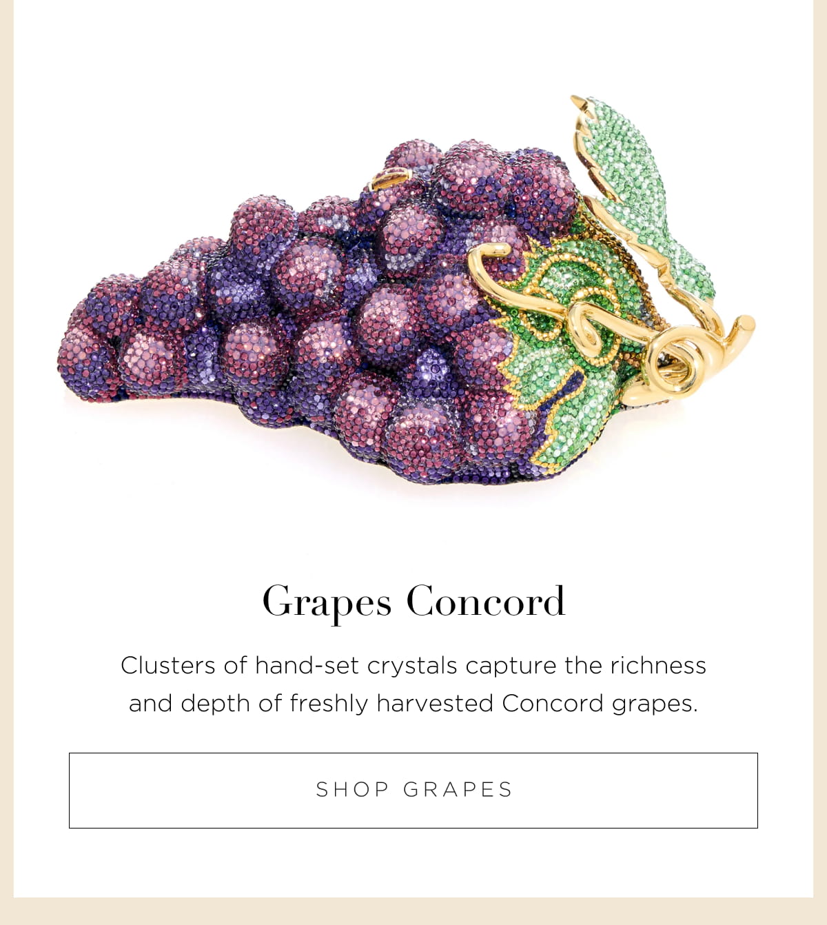 Grapes Concord
