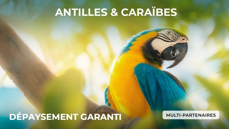 ANTILLES