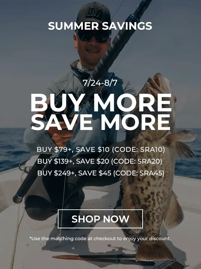SUMMER SAVINGS