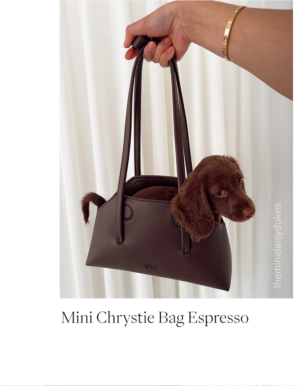 Mini Chrystie Bag Espresso