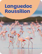 Languedoc Roussillon