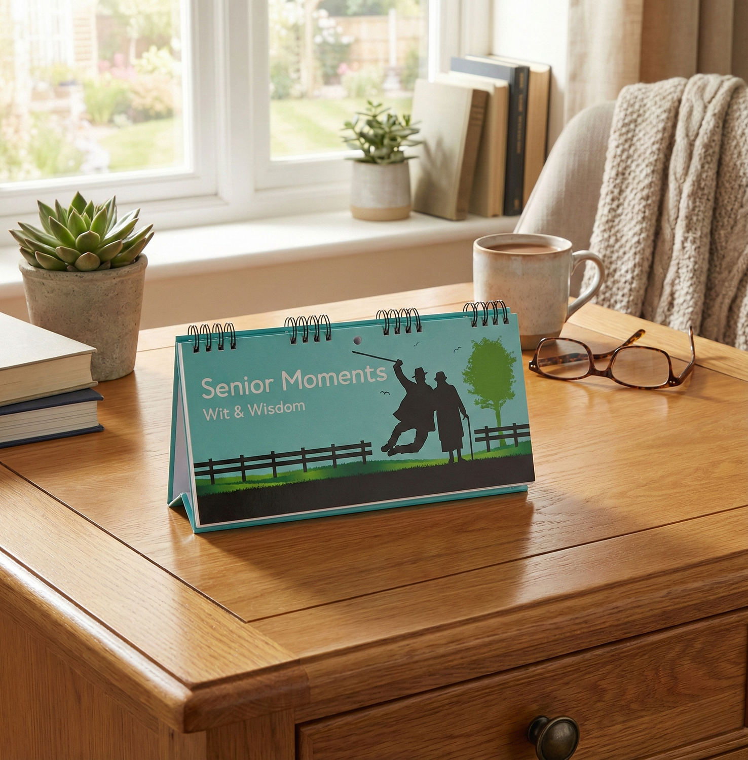 Image of Senior Moments Flip Book