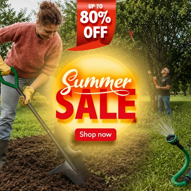 Summer Sale