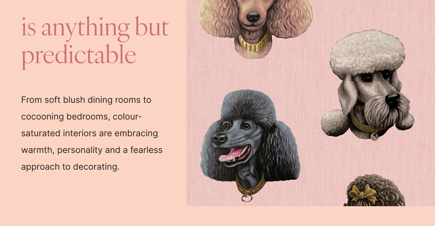 is anything but predictable - From soft blush dining rooms to cocooning bedrooms, colour-saturated interiors are embracing warmth, personality and a fearless approach to decorating.