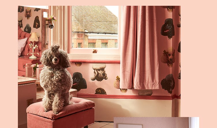 Poodle Parlour Wallpaper