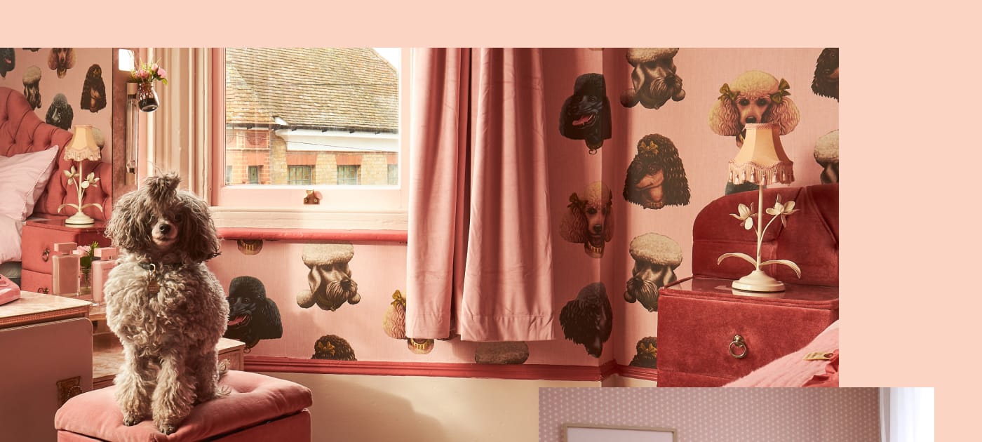 Poodle Parlour Wallpaper